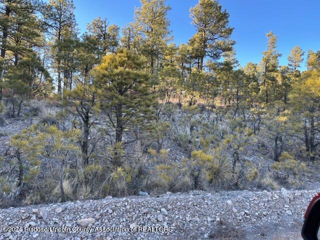 1617 Gemini, 130497, Timberon, Subdivision Lot,  for sale, Esme Sanchez, Century 21 Aspen Real Estate Company Inc.